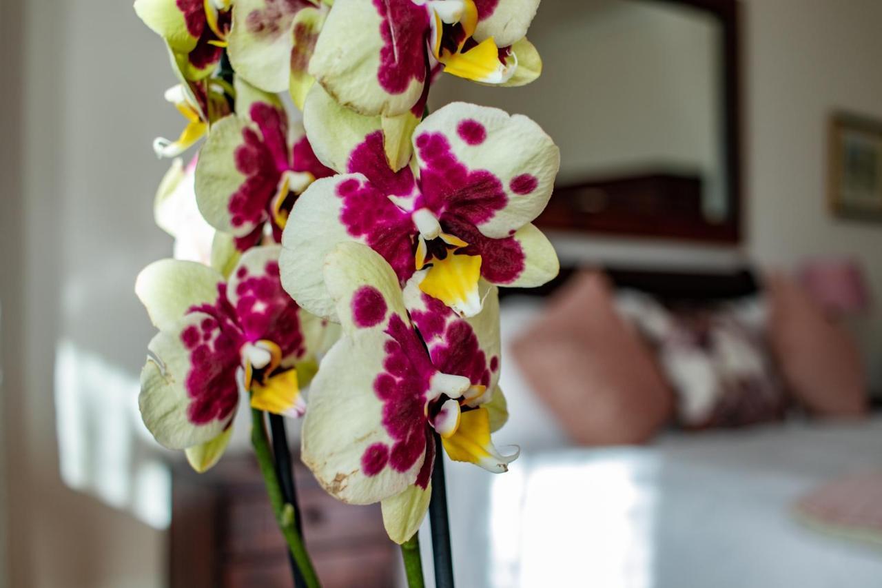 Carmichael House Boutique Hotel Cidade Do Cabo Exterior foto