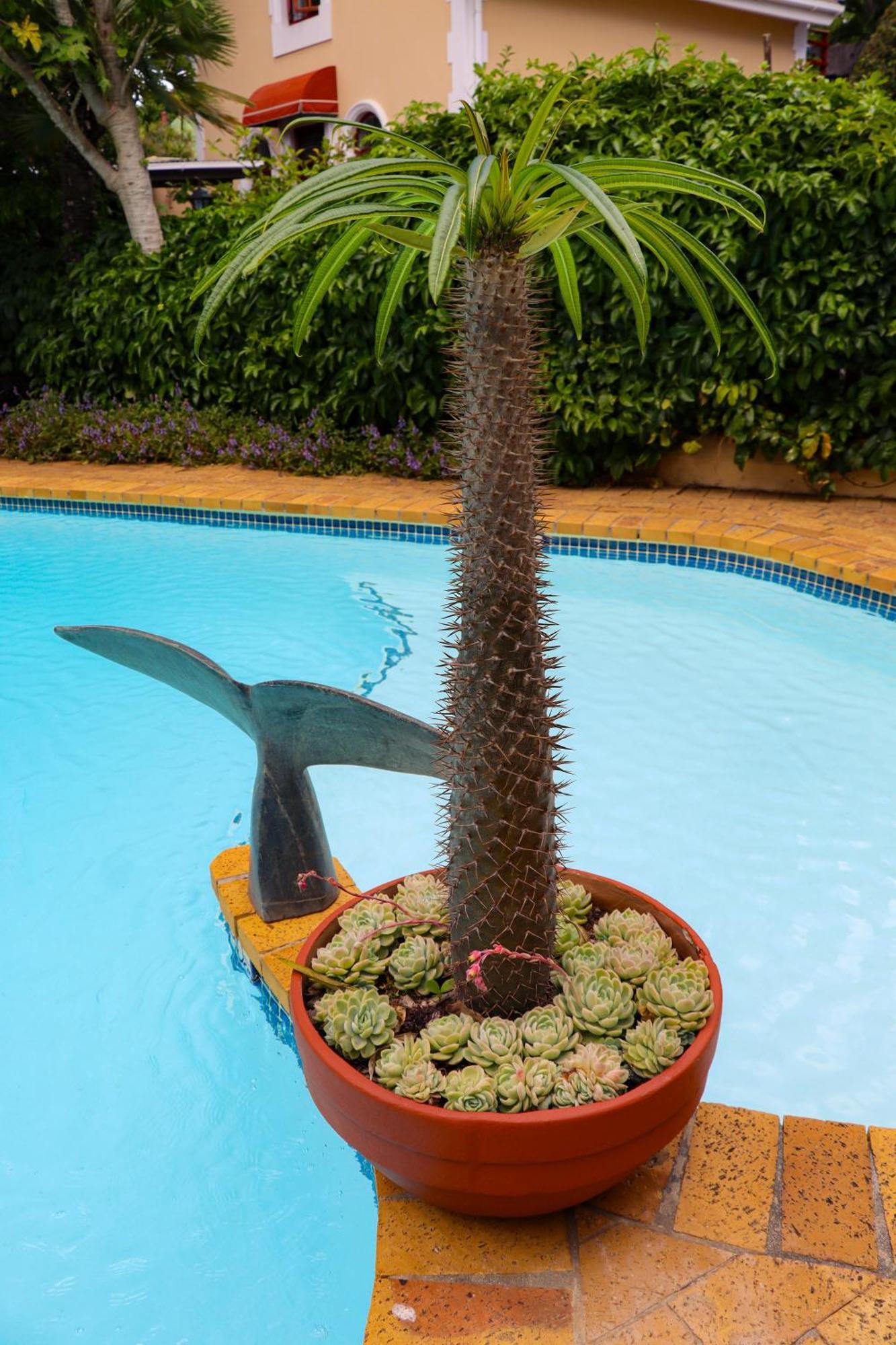 Carmichael House Boutique Hotel Cidade Do Cabo Exterior foto