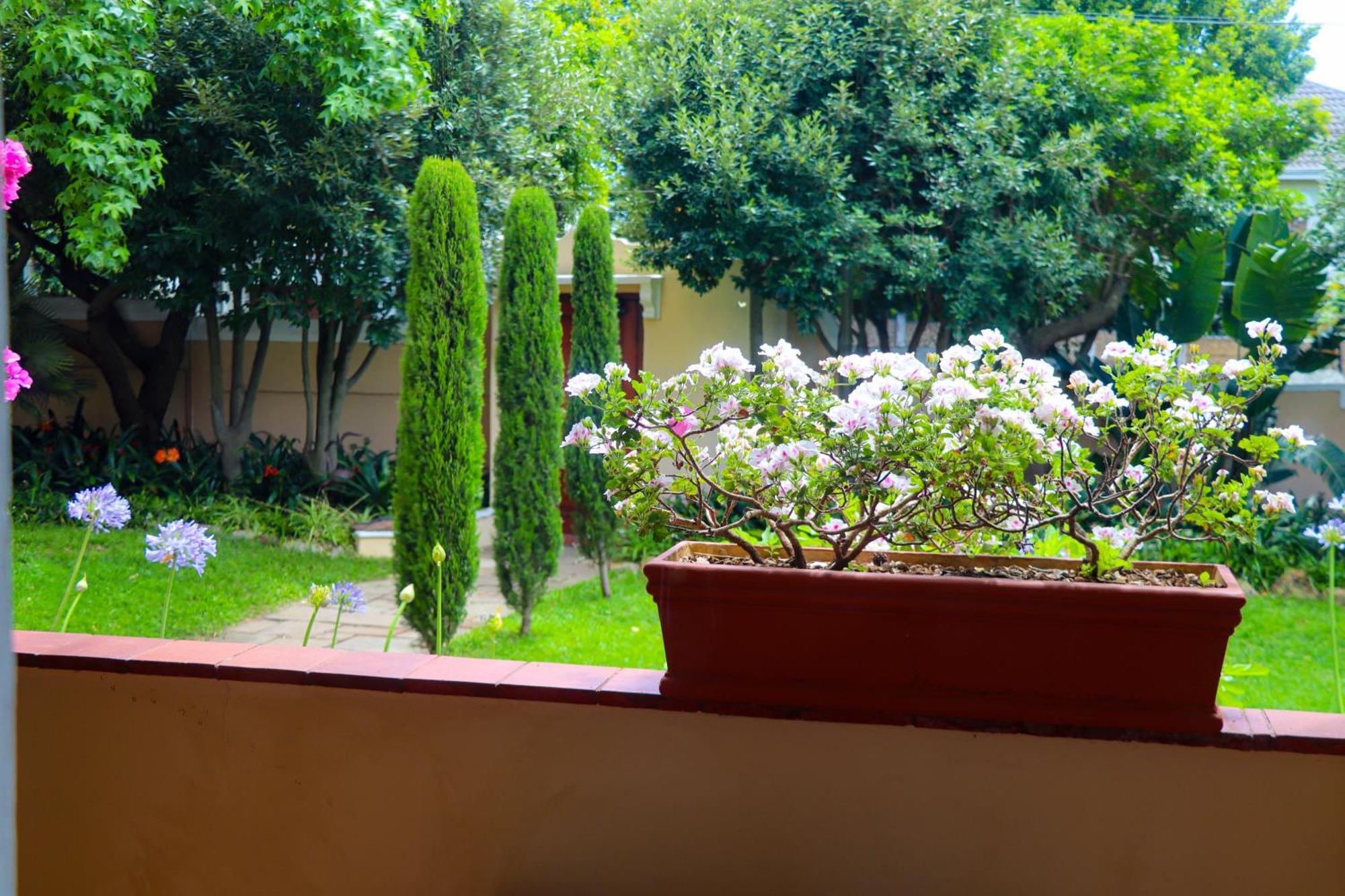 Carmichael House Boutique Hotel Cidade Do Cabo Exterior foto