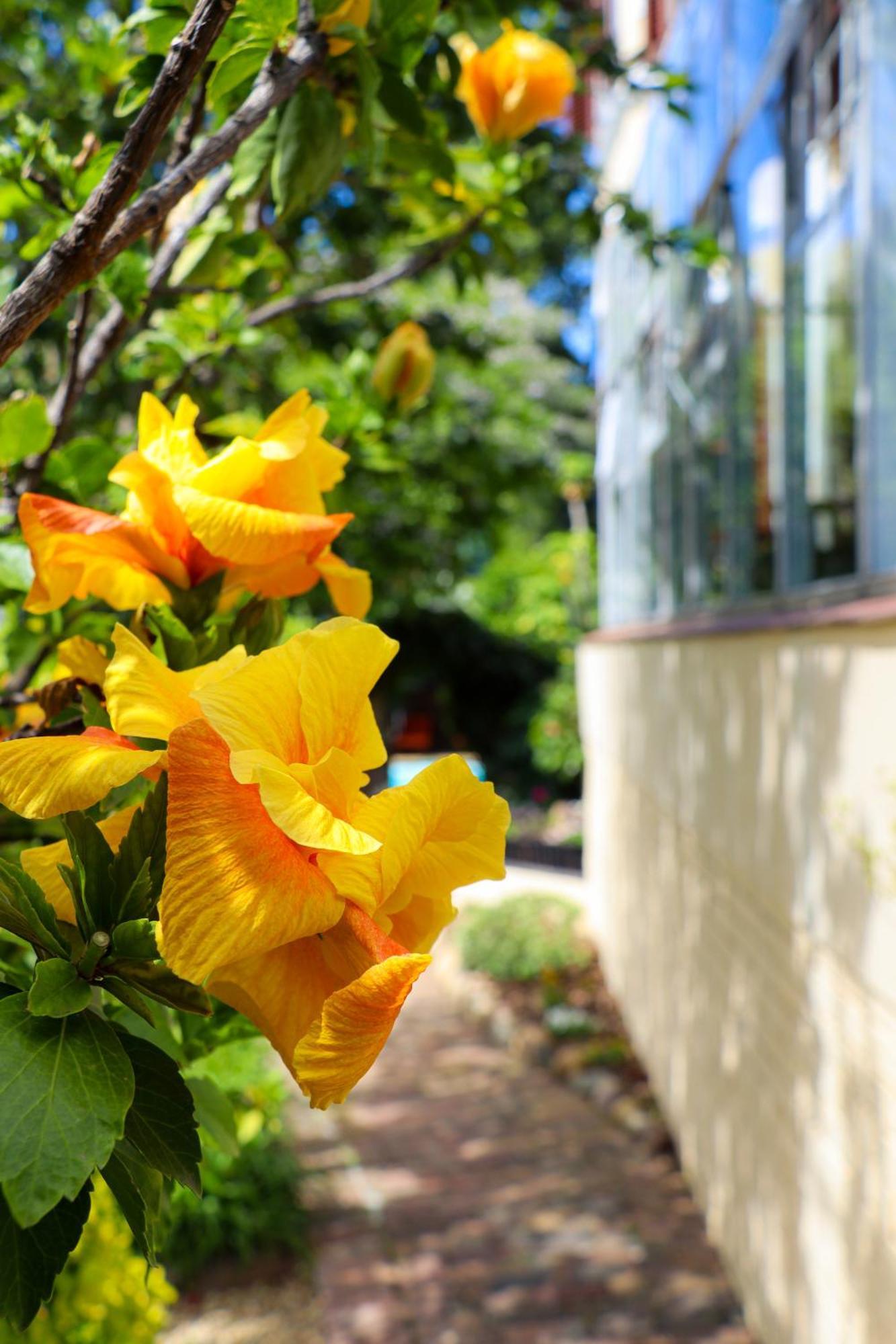 Carmichael House Boutique Hotel Cidade Do Cabo Exterior foto