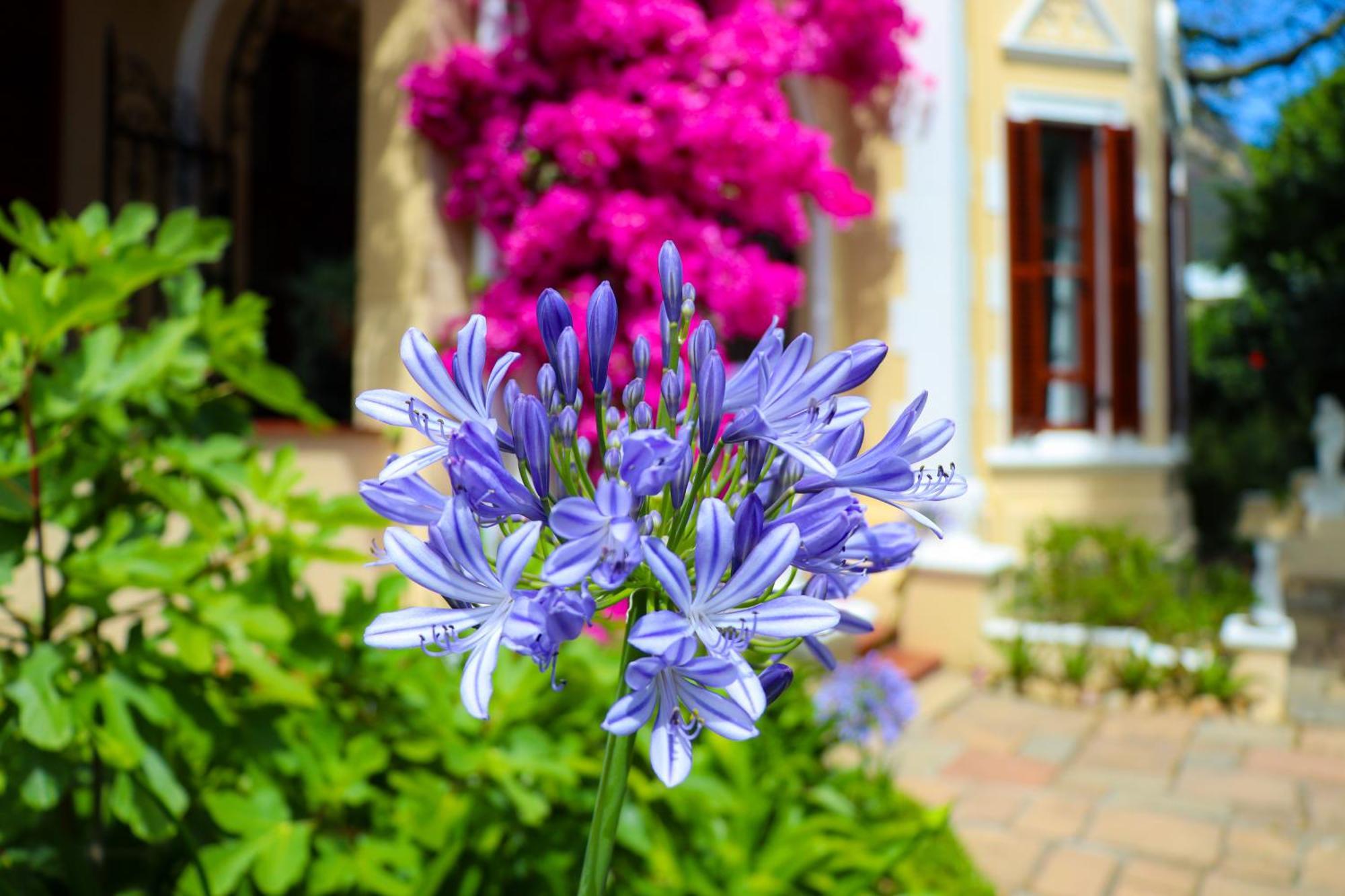 Carmichael House Boutique Hotel Cidade Do Cabo Exterior foto